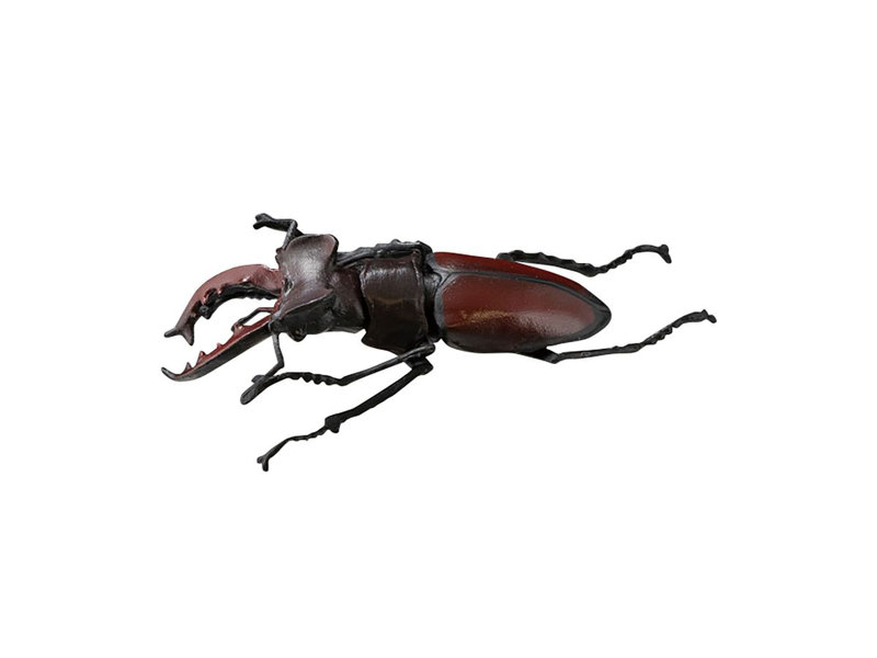 昆虫ハンター