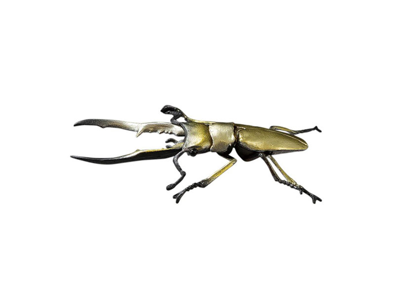 昆虫ハンター