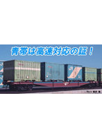 A3154 コキ5500 (45500番代) 青帯 2両セット