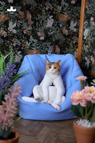 ぐーたら 猫 9.0 A