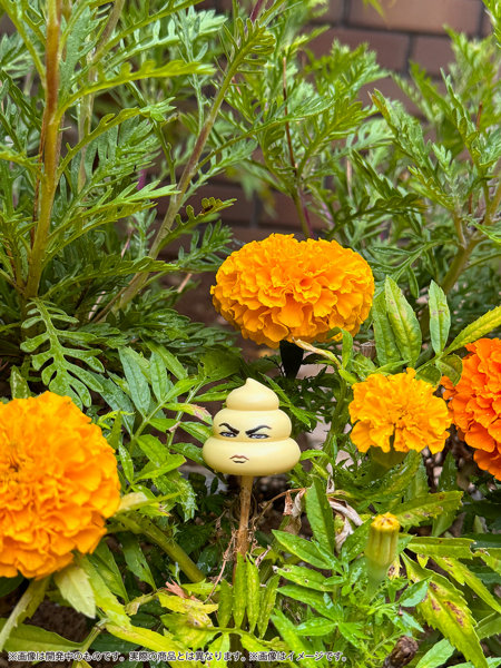 【10%ポイント還元中】プリプラ うんち倶楽部 Vol.1