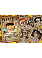 1000-593 WANTED POSTER