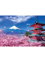 富士と桜舞う浅間神社