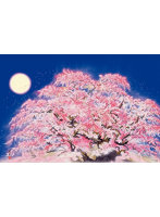 臥龍桜