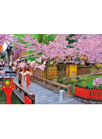 桜咲く祇園