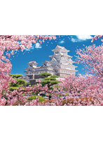 桜風の姫路城
