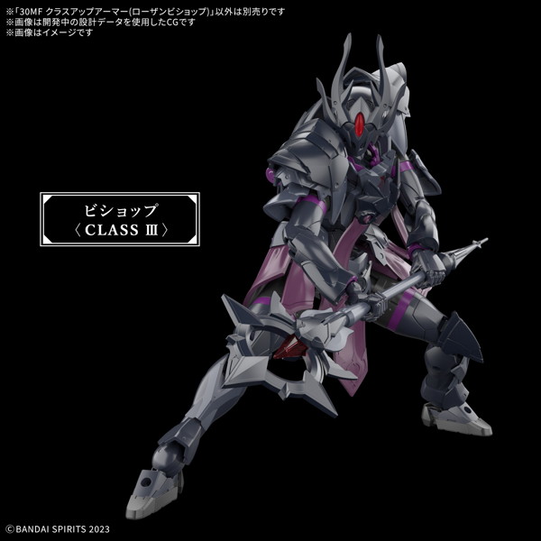 30MF クラスアップアーマー （ローザンビショップ）