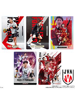 JAPAN NATIONAL VOLLEYBALL TEAM ツインウエハース （全36種） 1BOX:20個入