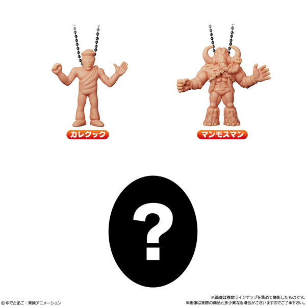 キン肉マングミRound5 （キンケシチャーム付き） （全17種） 1BOX:10個入