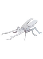 【BOX販売】ギラファノコギリクワガタ（1BOX=10個入）