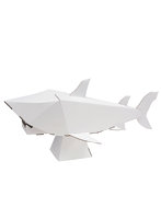 【BOX販売】サメ（1BOX=10個入）