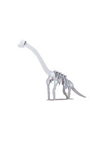 【BOX販売】ブラキオサウルス（1BOX=10個入）