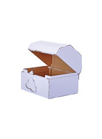 【BOX販売】工作の素 宝箱（1BOX=10個入）