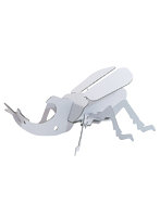 【BOX販売】カブトムシ（1BOX=10個入）
