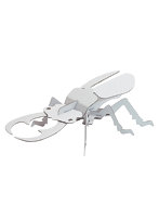 【BOX販売】クワガタムシ（1BOX=10個入）