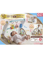 うちの赤ちゃん世界一 スマート知育ジム＆ウォーカー