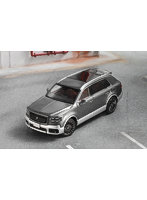 トヨタ センチュリー RHD グレー/シルバー