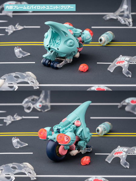 KM-100 大兜丸 Dynastes クリアー