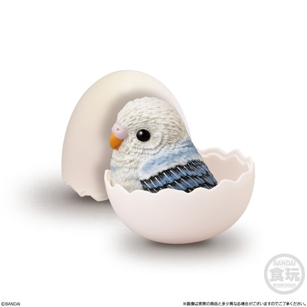てのりベイビーフレンズ -鳥- （全6種） 1BOX:12個入