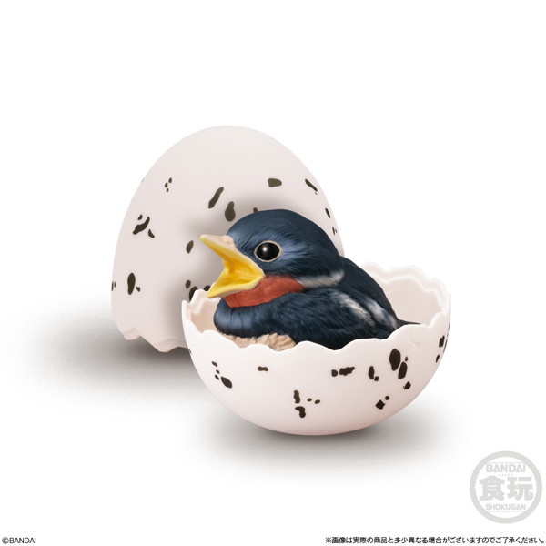 てのりベイビーフレンズ -鳥- （全6種） 1BOX:12個入