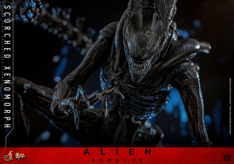 【ムービー・マスターピース】『エイリアン:ロムルス』1/6スケールフィギュア スコーチド・ゼノモーフ