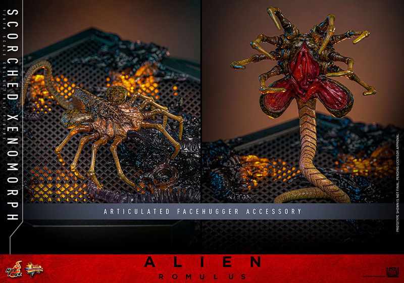 【ムービー・マスターピース】『エイリアン:ロムルス』1/6スケールフィギュア スコーチド・ゼノモーフ