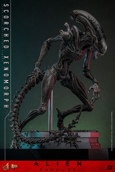 【ムービー・マスターピース】『エイリアン:ロムルス』1/6スケールフィギュア スコーチド・ゼノモーフ