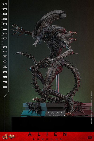 【ムービー・マスターピース】『エイリアン:ロムルス』1/6スケールフィギュア スコーチド・ゼノモーフ