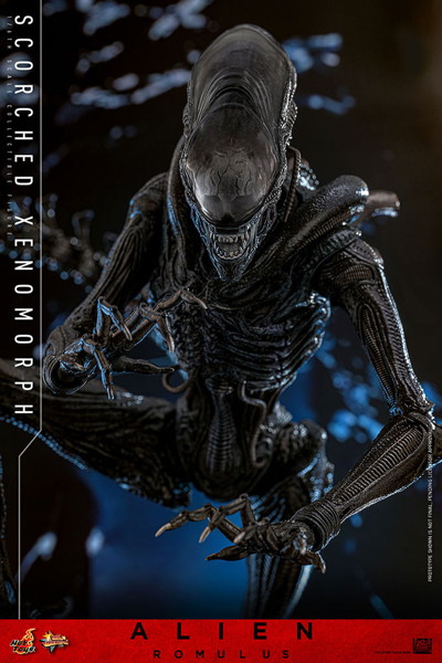 【ムービー・マスターピース】『エイリアン:ロムルス』1/6スケールフィギュア スコーチド・ゼノモーフ