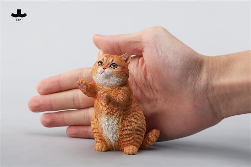ストリング プレイング キャット A