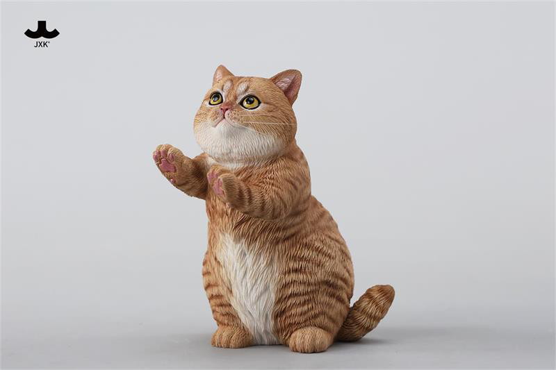 ストリング プレイング キャット B