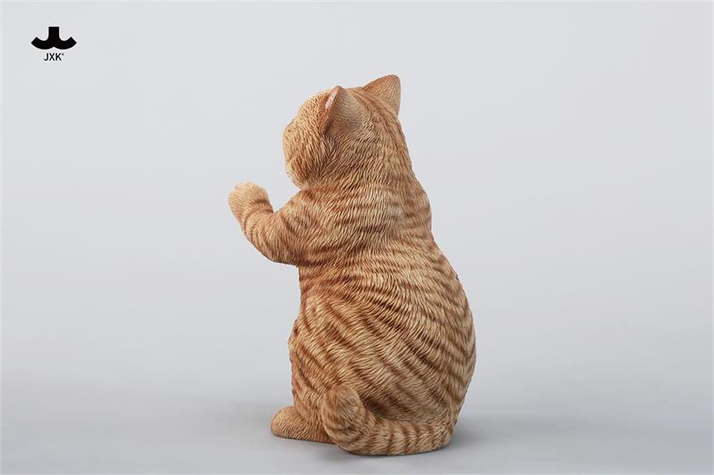 ストリング プレイング キャット B