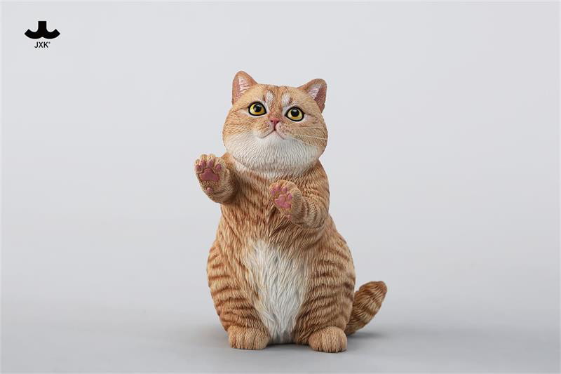 ストリング プレイング キャット B