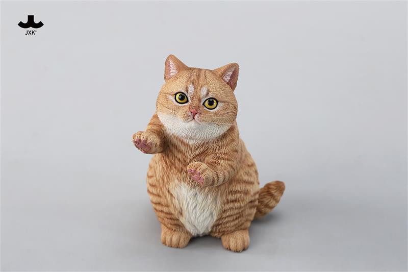 ストリング プレイング キャット B