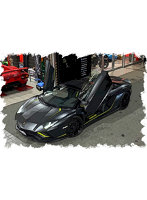 Lamborghini Aventador S Roadster Japan Limited Edition 2021 ネロプルソ/グリーンストライプ