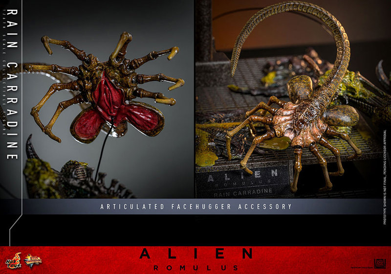 【ムービー・マスターピース】『エイリアン:ロムルス』1/6スケールフィギュア レイン・キャラディン