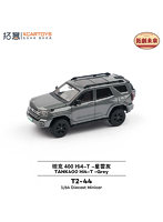GWM（長城汽車）タンク400 グレー