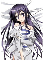 健全ロボ ダイミダラー おっぱいクッション 恭子