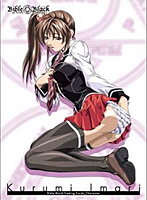 BOX販売 Bible Black トレーディングカード