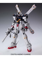 MG 1/100 89 クロスボーンガンダム X-1 ver.Ka