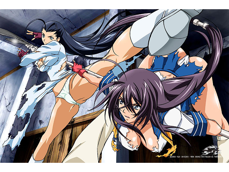 一騎当千GG ベッドシーツF 関羽雲長&夏侯淵妙才 7,733円