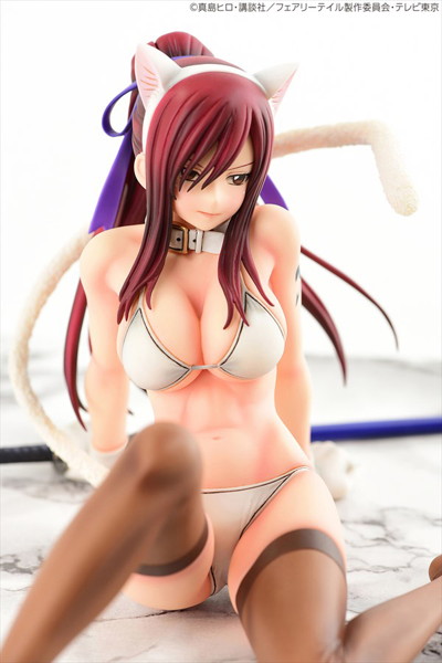FAIRY TAIL エルザ・スカーレット・白猫Gravure_Style
