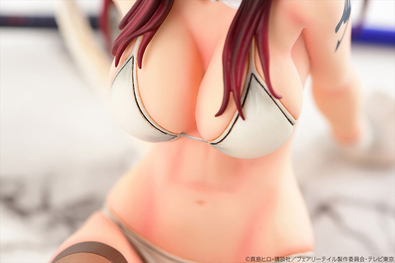 FAIRY TAIL エルザ・スカーレット・白猫Gravure_Style