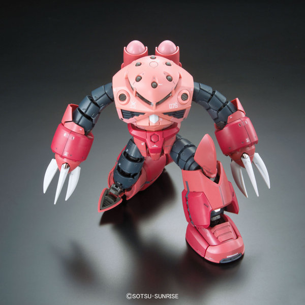 RG 1/144 シャア専用ズゴック