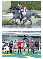 ［2023/3/18阪神2Rミスティックロア］写真セット2L判