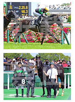 ［2023/5/28東京8Rドリームインパクト］写真セット2L判
