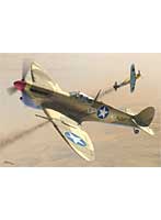 1/48 スピットファイア Mk.Vc ‘アメリカマーキング’