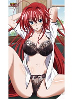 【再生産】ハイスクールDxD NEW リアス・グレモリー 立体クッション