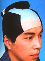 DX侍カツラ