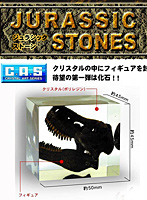 BOX販売 ジュラシックストーン